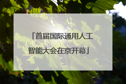 首届国际通用人工智能大会在京开幕