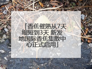 香蕉催熟从7天缩短到3天 新发地国际香蕉集散中心正式启用