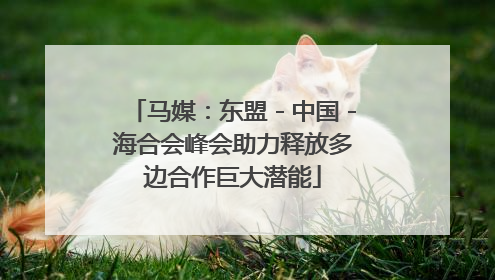马媒：东盟－中国－海合会峰会助力释放多边合作巨大潜能