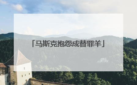 马斯克抱怨成替罪羊