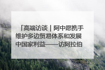 高端访谈｜阿中愿携手维护多边贸易体系和发展中国家利益——访阿拉伯议会议长亚马希