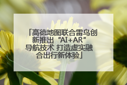 高德地图联合雷鸟创新推出“AI+AR”导航技术 打造虚实融合出行新体验
