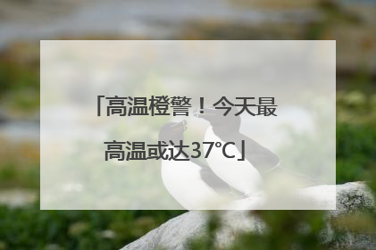 高温橙警！今天最高温或达37℃