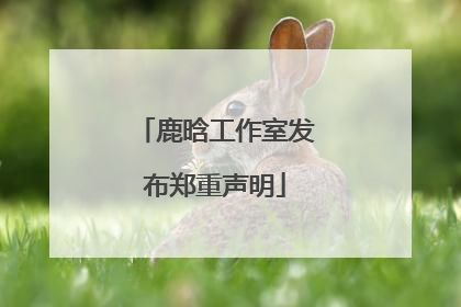 鹿晗工作室发布郑重声明