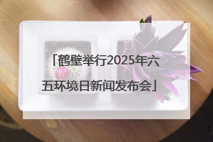 鹤壁举行2025年六五环境日新闻发布会