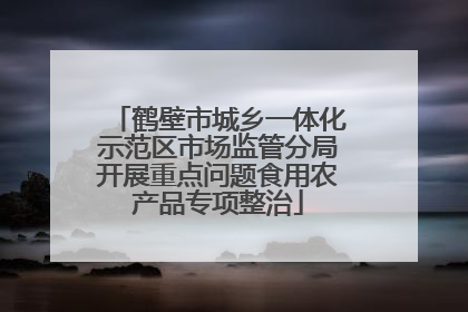 鹤壁市城乡一体化示范区市场监管分局开展重点问题食用农产品专项整治