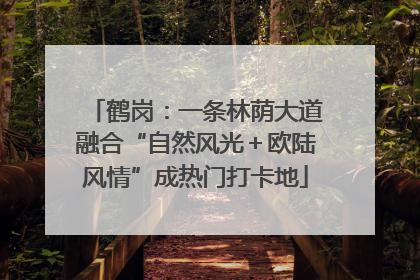 鹤岗：一条林荫大道融合“自然风光＋欧陆风情”成热门打卡地