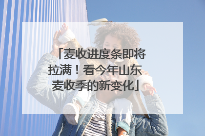 麦收进度条即将拉满！看今年山东麦收季的新变化