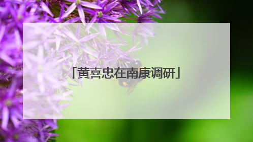 黄喜忠在南康调研