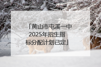 黄山市屯溪一中2025年招生指标分配计划已定