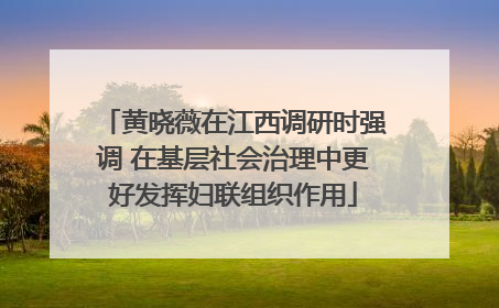 黄晓薇在江西调研时强调 在基层社会治理中更好发挥妇联组织作用