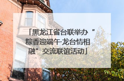 黑龙江省台联举办“粽香迎端午·龙台情相融”交流联谊活动