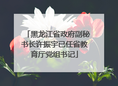 黑龙江省政府副秘书长许振宇已任省教育厅党组书记