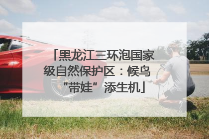 黑龙江三环泡国家级自然保护区：候鸟“带娃”添生机