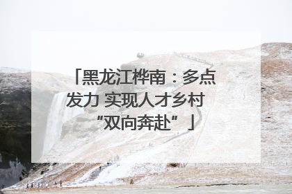 黑龙江桦南：多点发力 实现人才乡村“双向奔赴”
