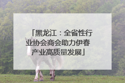 黑龙江：全省性行业协会商会助力伊春产业高质量发展