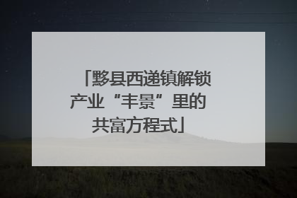 黟县西递镇解锁产业“丰景”里的共富方程式