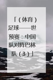 （体育）足球——世预赛：中国队对阵巴林队（3）