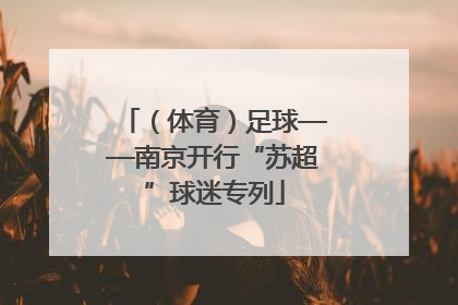（体育）足球——南京开行“苏超”球迷专列