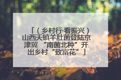 （乡村行·看振兴）山西天镇羊肚菌登陆京津冀 “南菌北种”开出乡村“致富花”