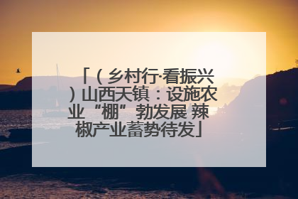 （乡村行·看振兴）山西天镇：设施农业“棚”勃发展 辣椒产业蓄势待发