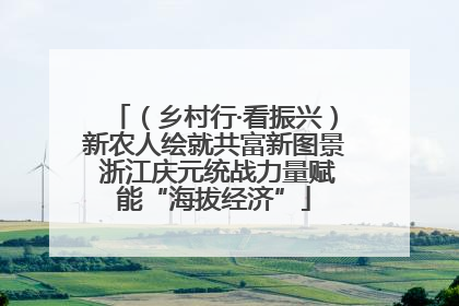 （乡村行·看振兴）新农人绘就共富新图景 浙江庆元统战力量赋能“海拔经济”