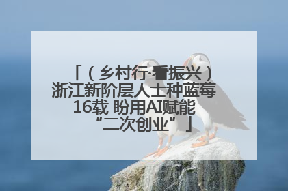 （乡村行·看振兴）浙江新阶层人士种蓝莓16载 盼用AI赋能“二次创业”