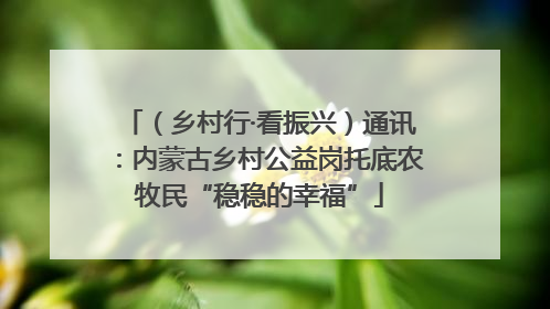 （乡村行·看振兴）通讯：内蒙古乡村公益岗托底农牧民“稳稳的幸福”