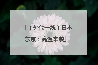 （外代一线）日本东京：高温来袭