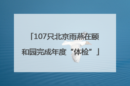 107只北京雨燕在颐和园完成年度“体检”