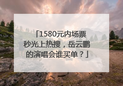 1580元内场票秒光上热搜，岳云鹏的演唱会谁买单？