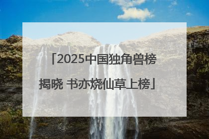 2025中国独角兽榜揭晓 书亦烧仙草上榜