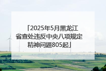 2025年5月黑龙江省查处违反中央八项规定精神问题805起