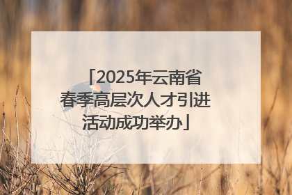 2025年云南省春季高层次人才引进活动成功举办