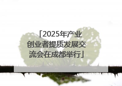 2025年产业创业者提质发展交流会在成都举行