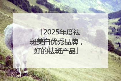 2025年度祛斑美白优秀品牌，好的祛斑产品