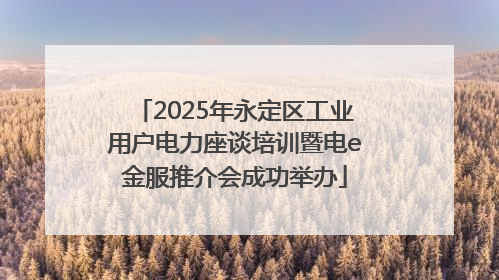 2025年永定区工业用户电力座谈培训暨电e金服推介会成功举办