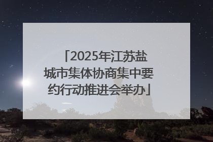 2025年江苏盐城市集体协商集中要约行动推进会举办