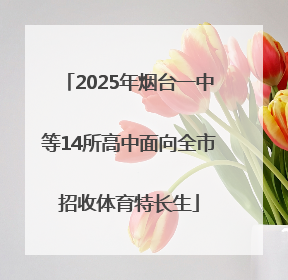 2025年烟台一中等14所高中面向全市招收体育特长生
