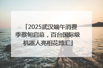 2025武汉端午消费季蔡甸启幕，百台国际级机器人亮相花博汇