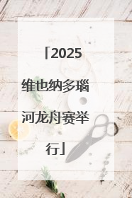 2025维也纳多瑙河龙舟赛举行