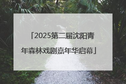 2025第二届沈阳青年森林戏剧嘉年华启幕
