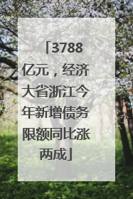 3788亿元，经济大省浙江今年新增债务限额同比涨两成