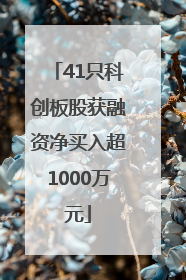 41只科创板股获融资净买入超1000万元
