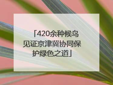 420余种候鸟见证京津冀协同保护绿色之道