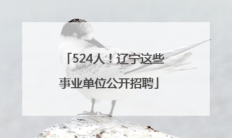 524人！辽宁这些事业单位公开招聘
