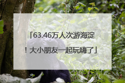 63.46万人次游海淀！大小朋友一起玩嗨了