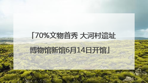 70%文物首秀 大河村遗址博物馆新馆6月14日开馆