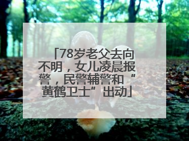 78岁老父去向不明，女儿凌晨报警，民警辅警和“黄鹤卫士”出动