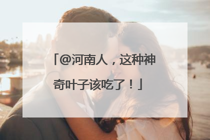 @河南人，这种神奇叶子该吃了！